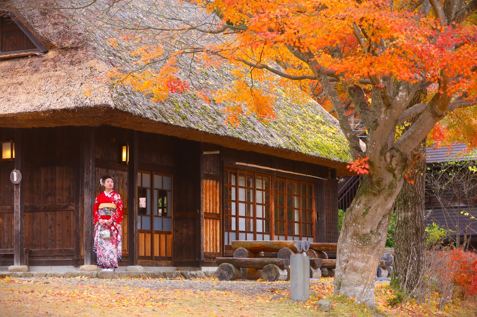Quintessential Japan & Takayama Autumn Festival Photo Tour